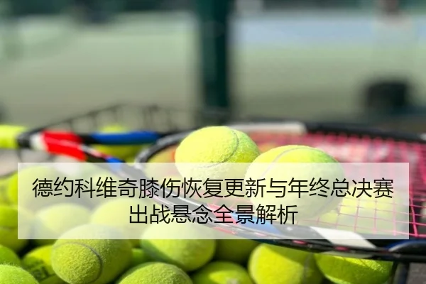 德约科维奇膝伤恢复更新与年终总决赛出战悬念全景解析